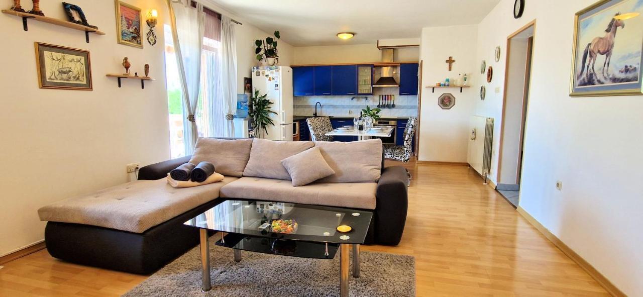 Apartments Pinezic Skrbčići Extérieur photo